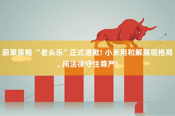 蔚莱策略 “老头乐”正式道歉! 小米用和解展现格局, 用法律守住尊严!